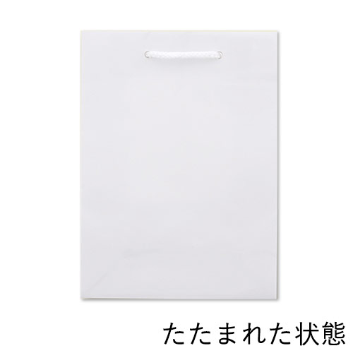 手提げ紙袋（白 ツヤあり・PP紐・幅170×マチ85×高さ230mm）