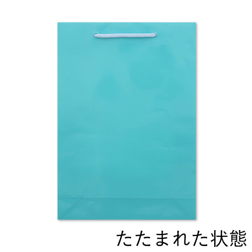 手提げ紙袋（水色 ツヤあり・PP紐・幅225×マチ80×高さ320mm）