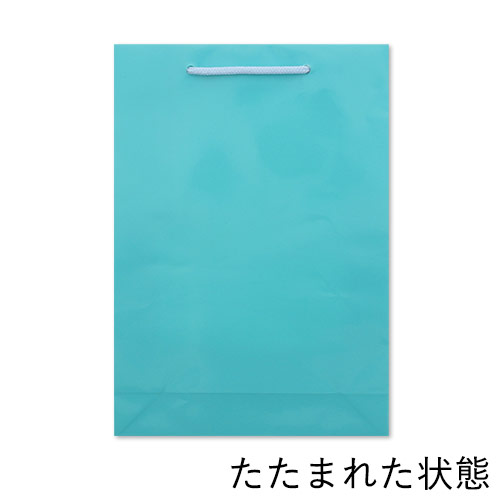手提げ紙袋（水色 ツヤあり・PP紐・幅225×マチ80×高さ320mm）