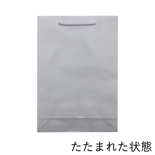 手提げ紙袋（シルバー ツヤあり・PP紐・幅225×マチ80×高さ320mm）