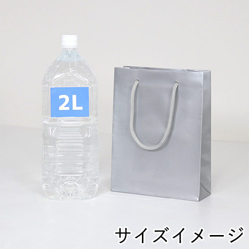 手提げ紙袋（シルバー ツヤあり・PP紐・幅225×マチ80×高さ320mm）