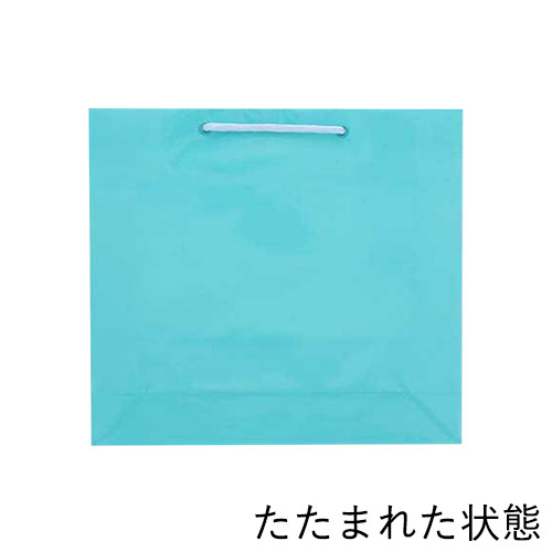 手提げ紙袋（ライトブルー ツヤあり・PP紐・幅330×マチ100×高さ300mm）