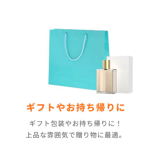 手提げ紙袋（ライトブルー ツヤあり・PP紐・幅330×マチ100×高さ300mm）