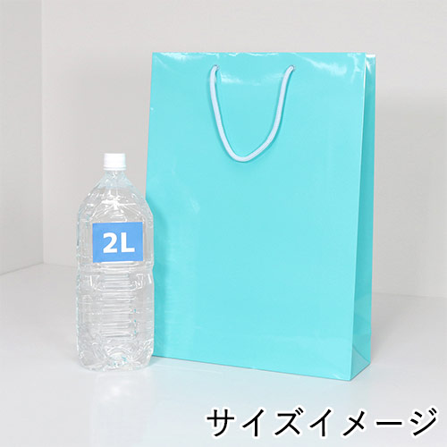 手提げ紙袋（ライトブルー ツヤあり・PP紐・幅330×マチ100×高さ450mm）