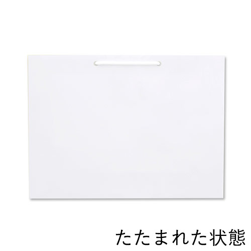 手提げ紙袋（白 ツヤあり・PP紐・幅450×マチ120×高さ330mm）