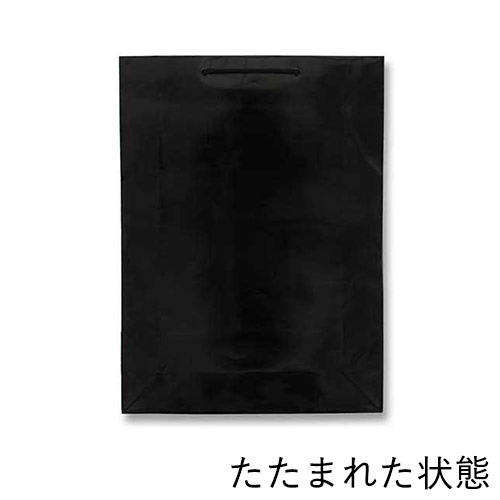 手提げ紙袋（黒 ツヤあり・PP紐・幅380×マチ120×高さ520mm）