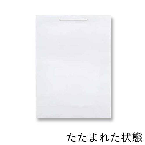 手提げ紙袋（白 ツヤあり・PP紐・幅380×マチ120×高さ520mm）