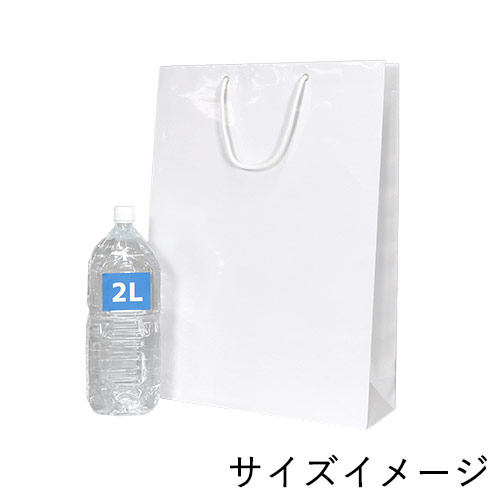 手提げ紙袋（白 ツヤあり・PP紐・幅380×マチ120×高さ520mm）