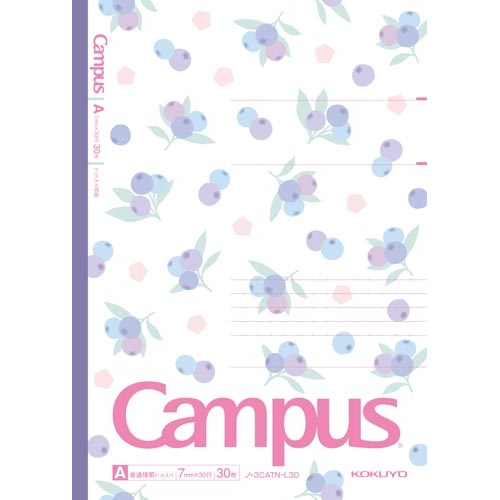 限定キャンパス＜フルーティー＞Ａ罫　２０冊入