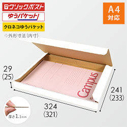 【クロネコゆうパケット・クリックポスト・ゆうパケット】厚さ3cm・N式ケース（白・A4サイズ）