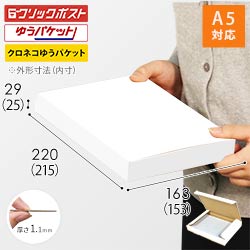 【クロネコゆうパケット・クリックポスト・ゆうパケット】厚さ3cm・N式ケース（白・A5サイズ）