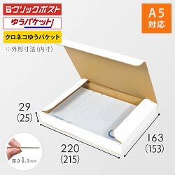 【クロネコゆうパケット・クリックポスト・ゆうパケット】厚さ3cm・N式ケース（白・A5サイズ）