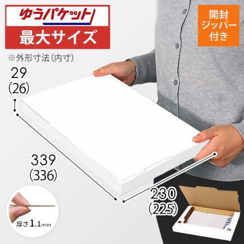 【ゆうパケット最大】厚さ3cm・ジッパー付きケース（白・A4サイズ）