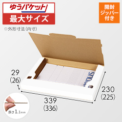 【ゆうパケット最大】厚さ3cm・ジッパー付きケース（白・A4サイズ）