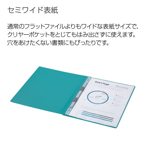 ＰＰフラットファイルグラッセル　Ａ４　ＬＧ　５冊