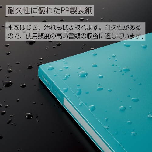 ＰＰフラットファイルグラッセル　Ａ４　ＬＧ　５冊