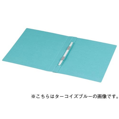 フラットファイルＮＥＯＳ　Ａ４厚とじ　白１０冊