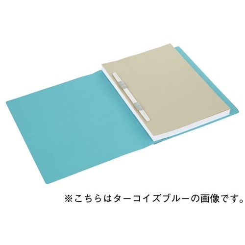 フラットファイルＮＥＯＳ　Ａ４厚とじ　白１０冊