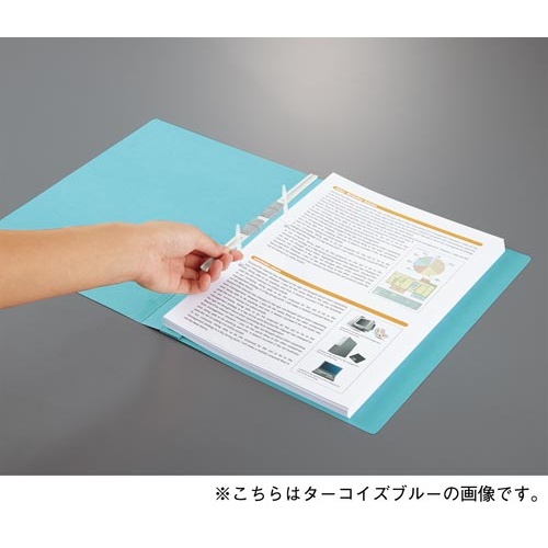 フラットファイルＮＥＯＳ　Ａ４厚とじ　白１０冊