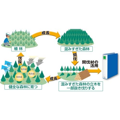 チューブエコツインＲ間伐材Ａ４縦背幅４５ｍｍ１０冊