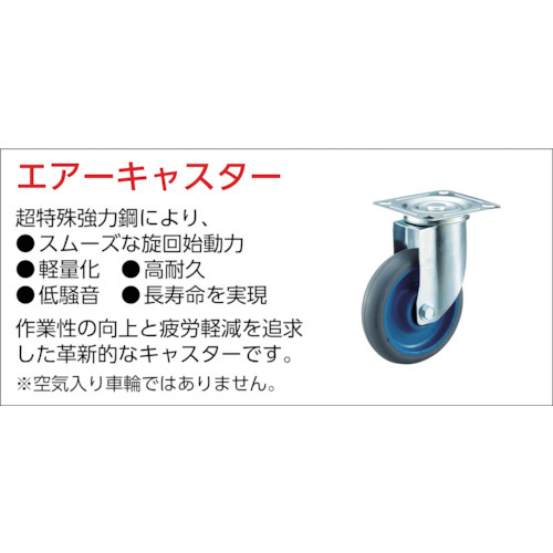 ＴＲＵＳＣＯ カルティオビッグ 固定式 600×900mm MPK900OG