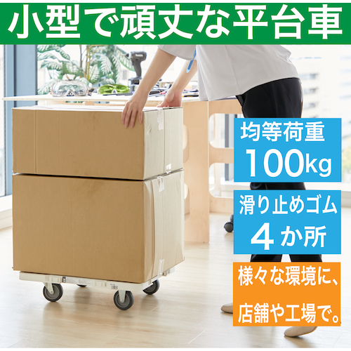 ＴＲＵＳＣＯ ルートバンメッシュタイプ 4輪自在 415×615mm MPK600JW