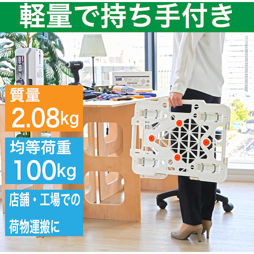 ＴＲＵＳＣＯ ルートバンメッシュタイプ 415×615mm MPK600W