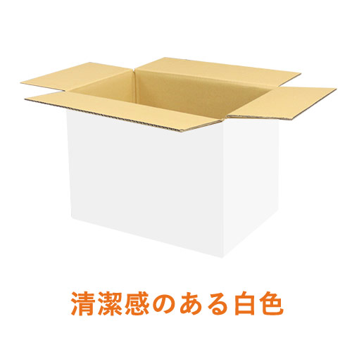【白色】宅配100サイズ・ダンボール箱（A4サイズ）