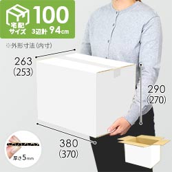 【白色】宅配100サイズ・ダンボール箱（A4サイズ）