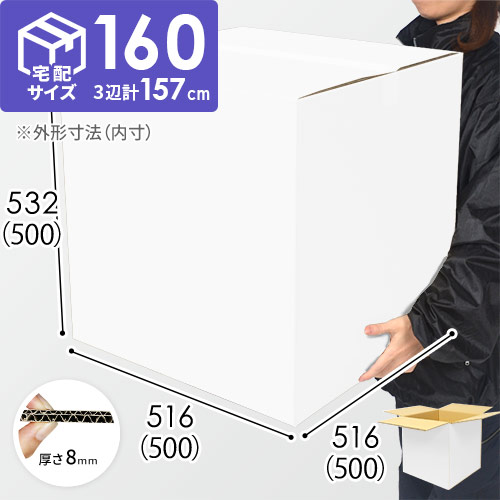 【白色】EMS（国際スピード郵便）対応・ダンボール箱（DA100-S）