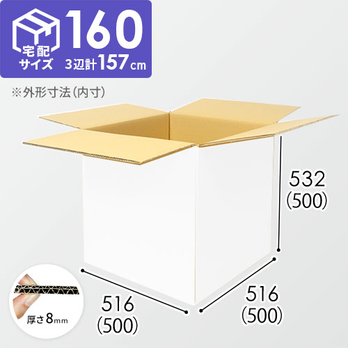 【白色】EMS（国際スピード郵便）対応・ダンボール箱（DA100-S）