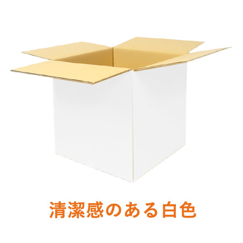 【白色】EMS（国際スピード郵便）対応・ダンボール箱（DA100-S）