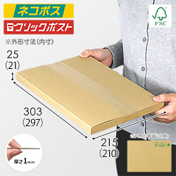【廃番商品】【FSC認証】厚さ2.5cm・ヤッコ型ケース（A4サイズ・クロネコゆうパケット・クリックポスト）