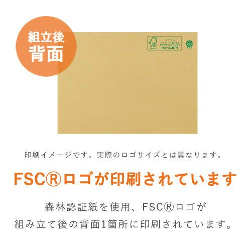 【在庫限り】【FSC認証】厚さ2cm・ヤッコ型ケース（A4サイズ・クリックポスト・クロネコゆうメール）