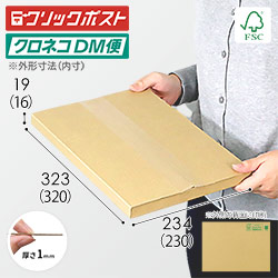 【在庫限り】【FSC認証】厚さ2cm・ヤッコ型ケース（A4サイズ・クリックポスト・クロネコゆうメール）