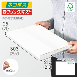 【在庫限り】【FSC認証・白色】厚さ2.5cm・ヤッコ型ケース（A4サイズ・クロネコゆうパケット・クリックポスト）