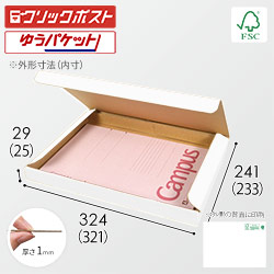 【廃番商品】【FSC認証・白色】厚さ3cm・N式ケース（A4サイズ・クリックポスト・ゆうパケット）