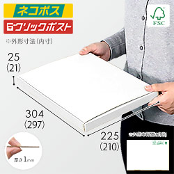 【廃番商品】【FSC認証・白色】厚さ2.5cm・N式ケース（A4サイズ・クロネコゆうパケット・クリックポスト）