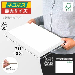 【FSC認証・白色】厚さ2.5cm・ジッパー付きケース（A4サイズ・ネコポス最大）
