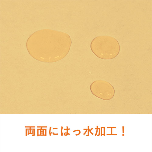 【廃番商品】【両面はっ水】厚さ3cm・N式ケース（A4サイズ・クリックポスト・ゆうパケット）