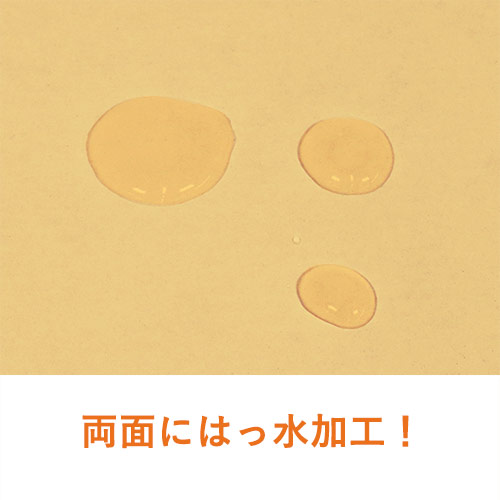 【在庫限り】【両面はっ水】小物用・N式ケース（カード・名刺サイズ）