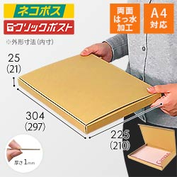 【両面はっ水】厚さ2.5cm・N式ケース（A4サイズ・ネコポス・クリックポスト）