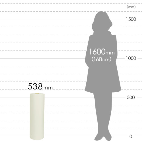 ボーガスペーパー ロール クリーム（538mm×350m・51g/ｍ2・ミシン目入）