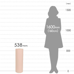 ボーガスペーパー ロール ピンク（538mm×350m・51g/ｍ2・ミシン目入）