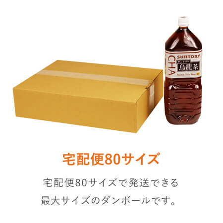 【宅配80サイズ】ダンボール箱（薄型）