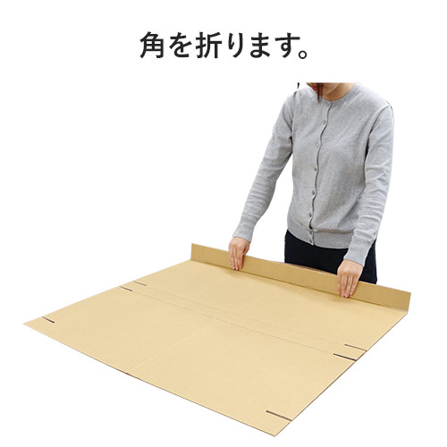 【宅配120サイズ】ラケット用ダンボール箱