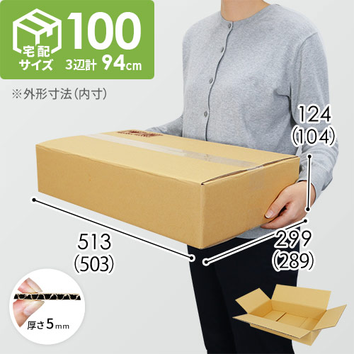 【宅配100サイズ】ダンボール箱（503×289×104mm）