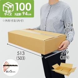 【宅配100サイズ】ダンボール箱（503×289×104mm）