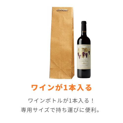 手提げ紙袋（茶・口折PP紐・幅110×マチ100×高さ365mm）