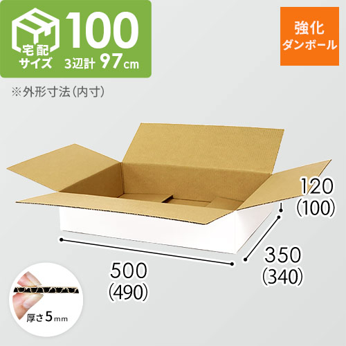【宅配100サイズ】強化材質 ダンボール箱 （白・薄型・490×340×100mm)